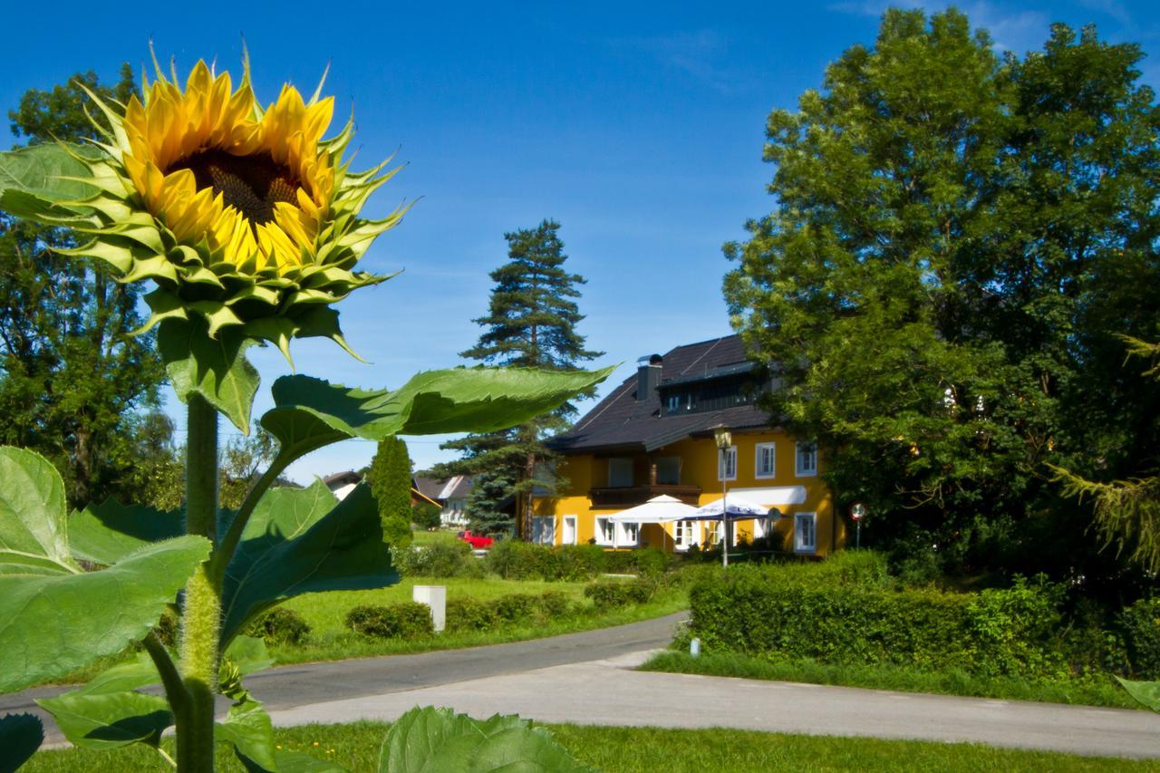 Landgasthof Zum Betenmacher Thalgau Exteriér fotografie
